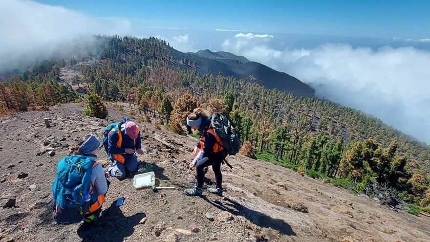 Miembros del Involcan realizando medidas de flujo difuso de CO2 y toma de muestras de gas del suelo en la Ruta de los Volcanes. Foto: INVOLCAN