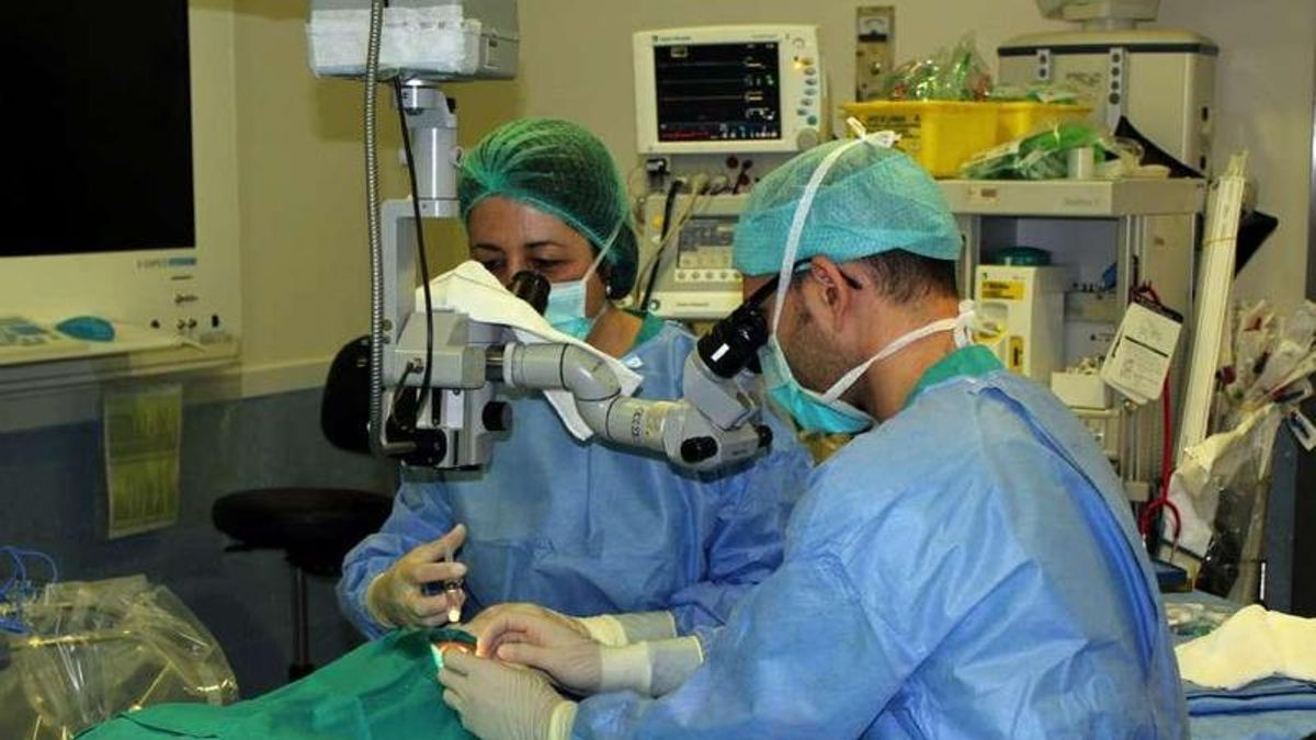 Intervención quirúrgica en un hospital del Servicio Canario de Salud. EFE