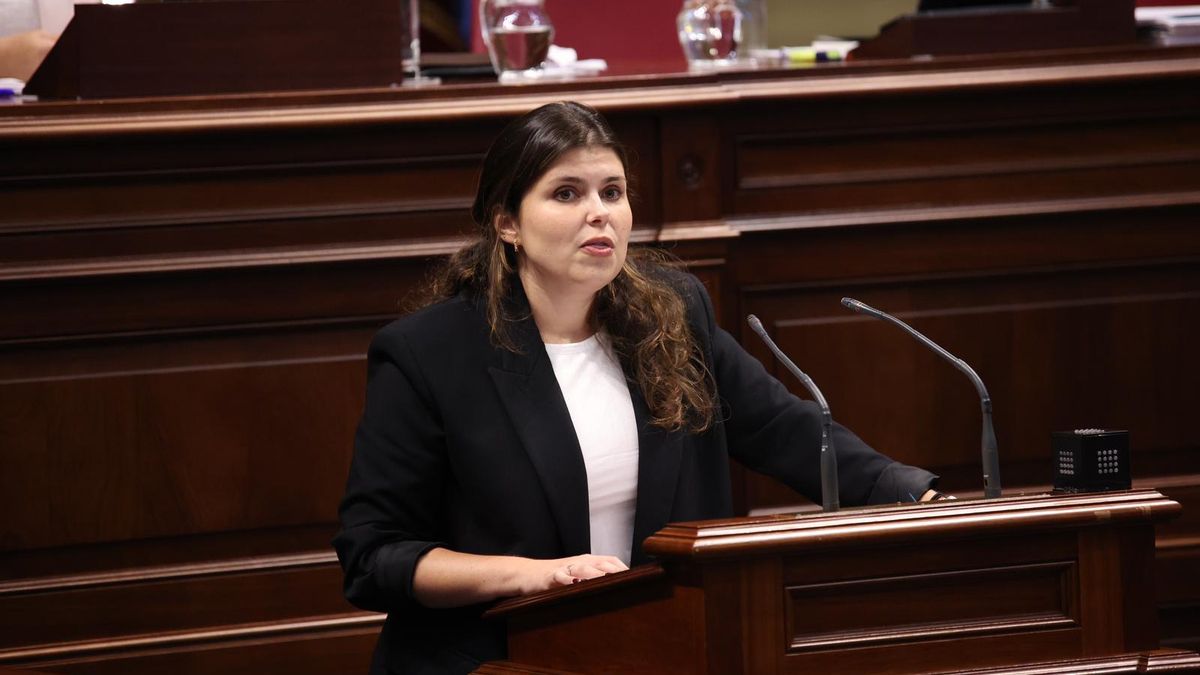 Diana Lorenzo, diputada de CC por La Palma  en el Parlamento de Canarias.