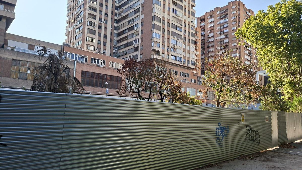 Árboles sin cuidados detrás de una valla de obra