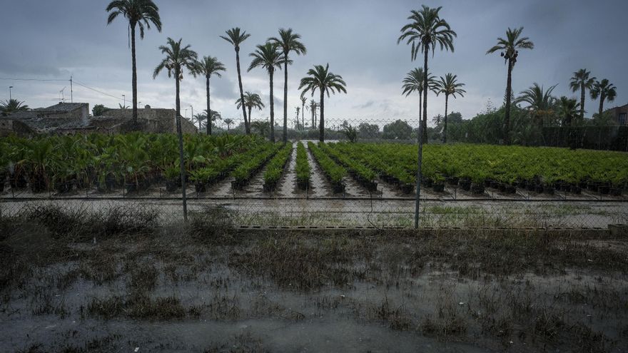 La lluvia deja inundaciones puntuales en Alicante a la espera de peores previsiones