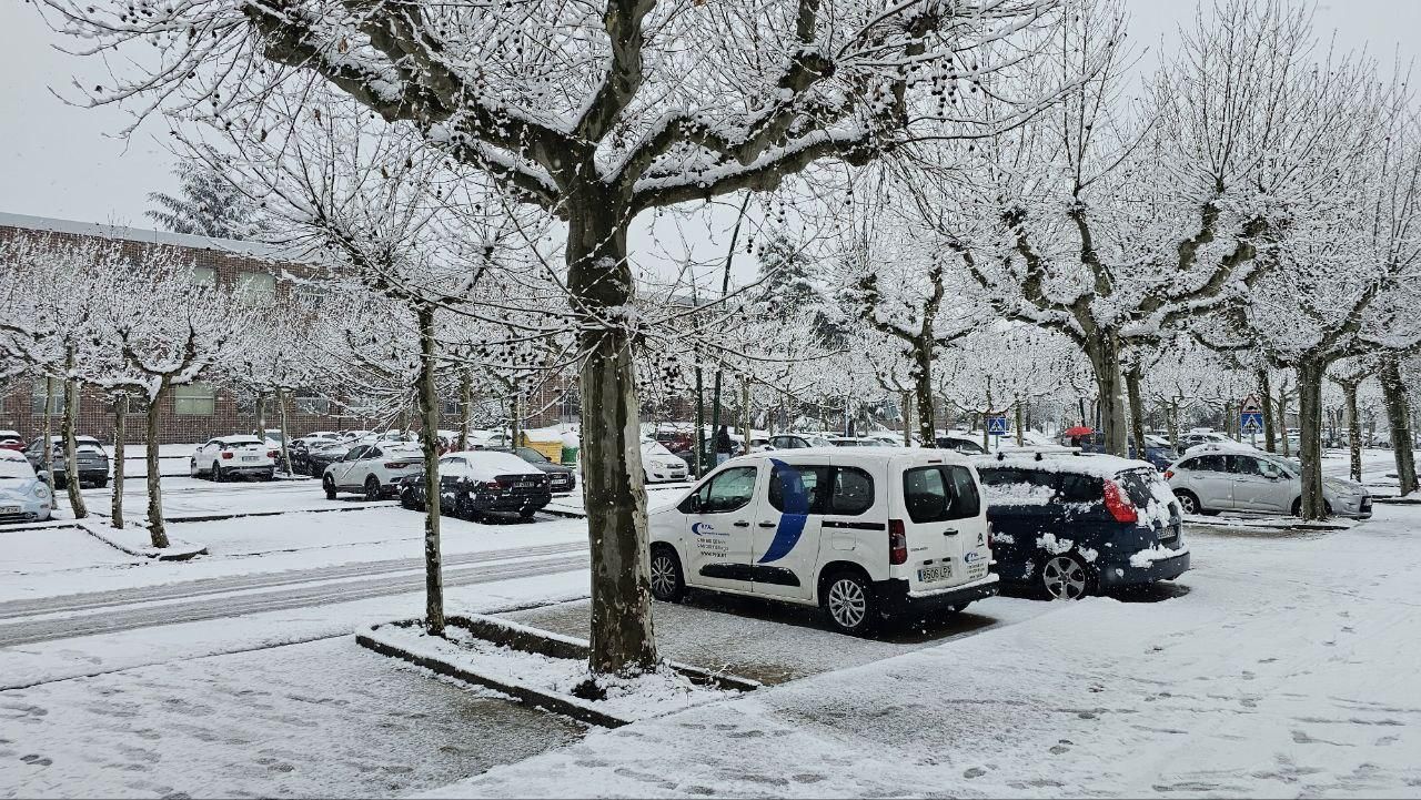 La nieve cuaja en la provincia de León: estampas blancas