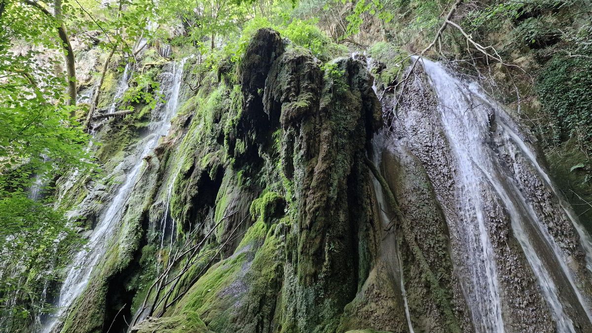 El recorrido que atraviesa un bosque de hayas y robles hasta descubrir una de las cascadas más altas de Euskadi