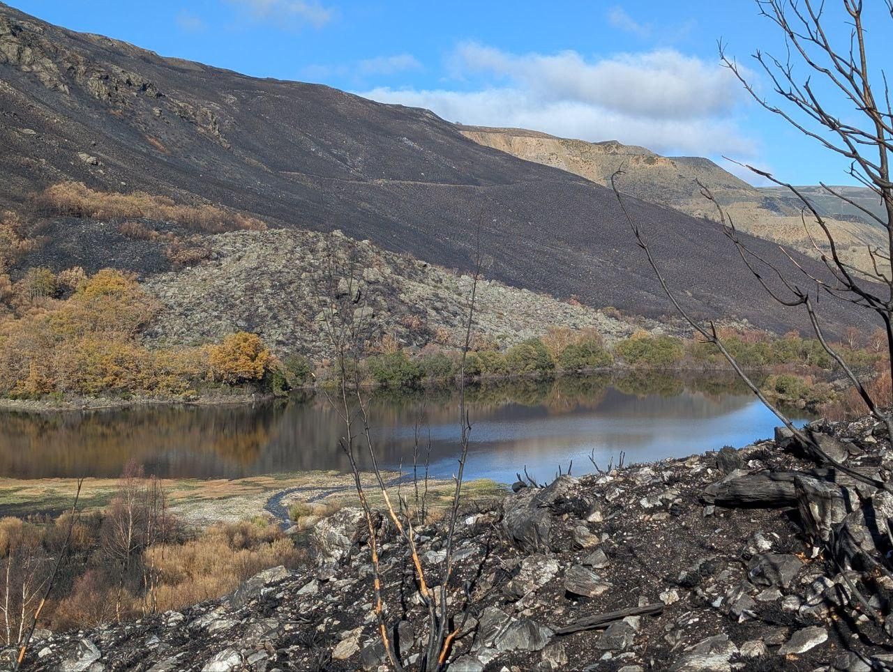 El Lago de la Baña tres meses después de ser arrasado por el fuego