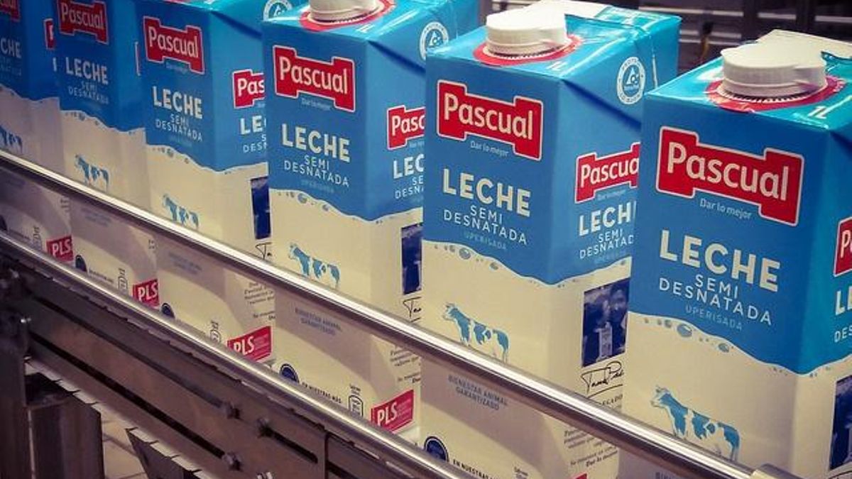 Bricks de leche de Calidad Pascual