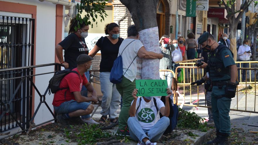 Activistas protestando contra la tala