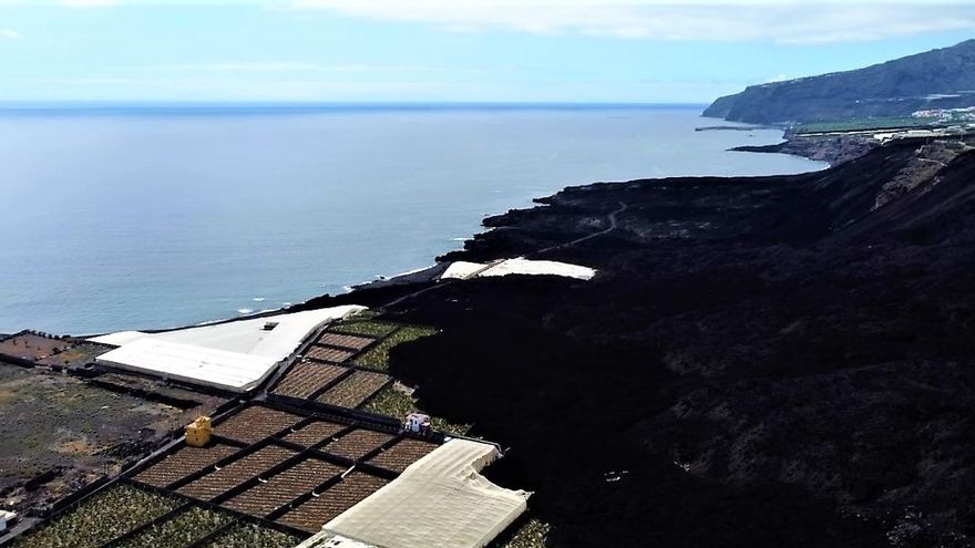 Afectados por el volcán piden que se les permita rehacer sus fincas con ayudas públicas