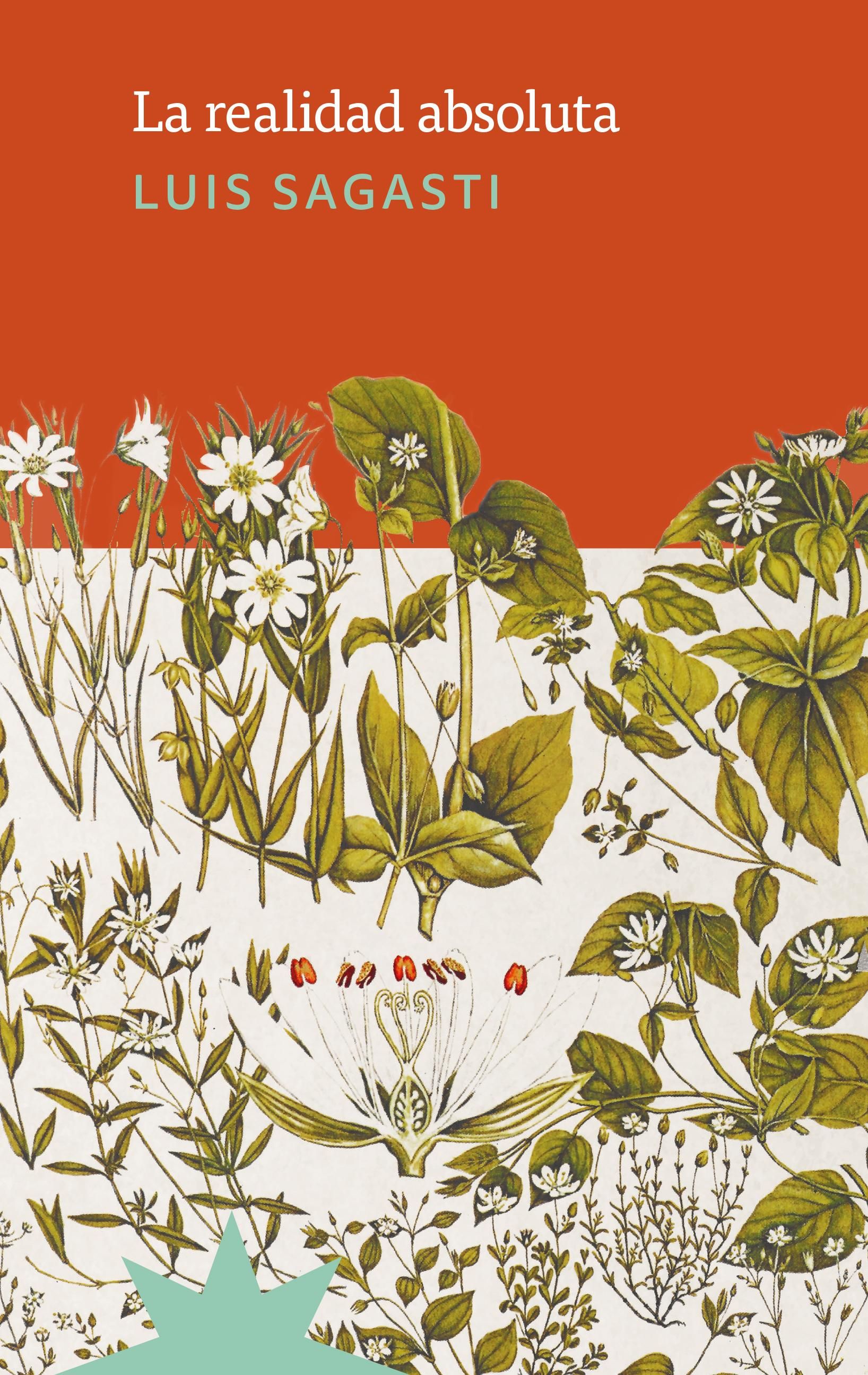 La realidad absoluta, de Luis Sagasti.