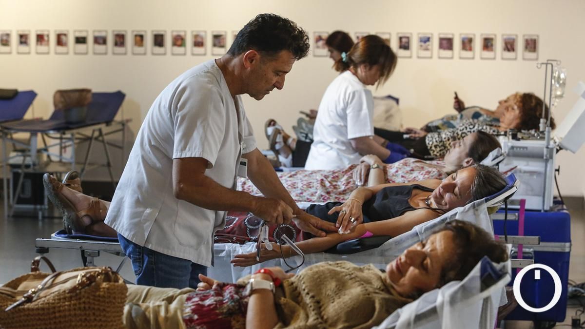 Fundación Cajasol y el Centro de Transfusión organizan este jueves una maratón de donación de sangre