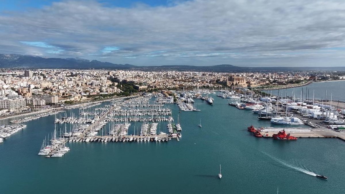 Cinc equips de referència internacional dissenyaran el futur del port de Palma