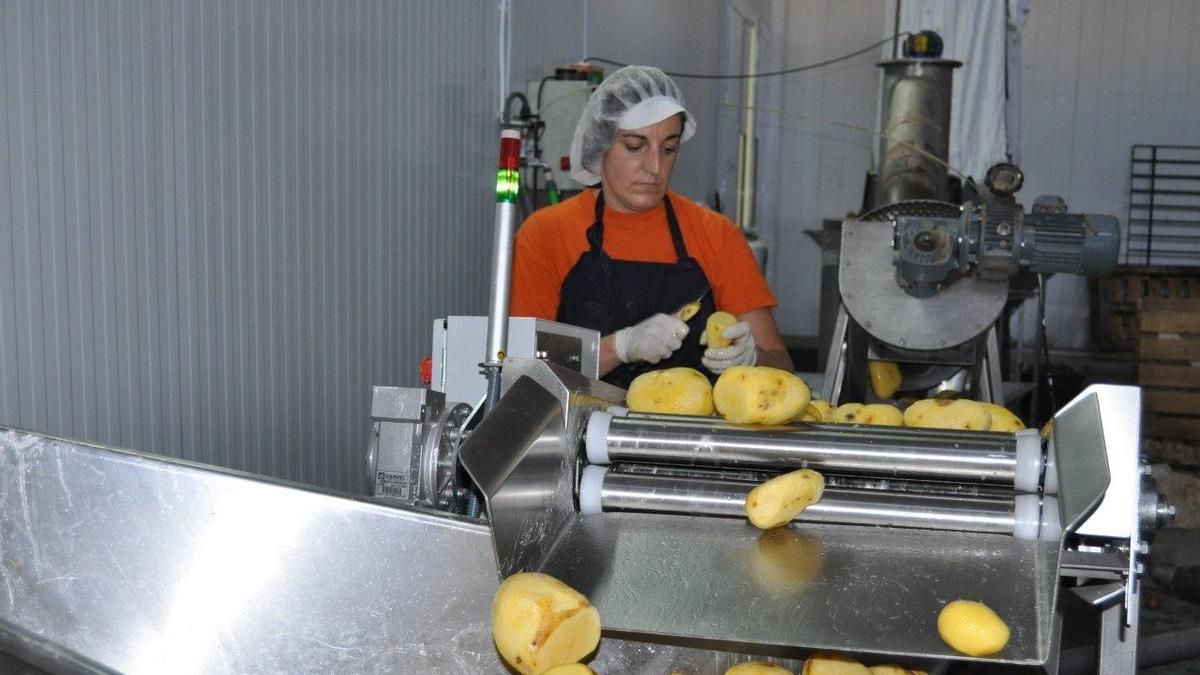 Las mejores patatas fritas del mundo tendrán un espacio más grande: aprobada la ampliación de la fábrica de San Nicasio