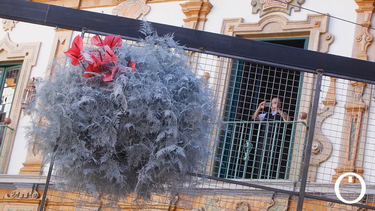 Instalación de Flora 2021 en la Diputación de Córdoba