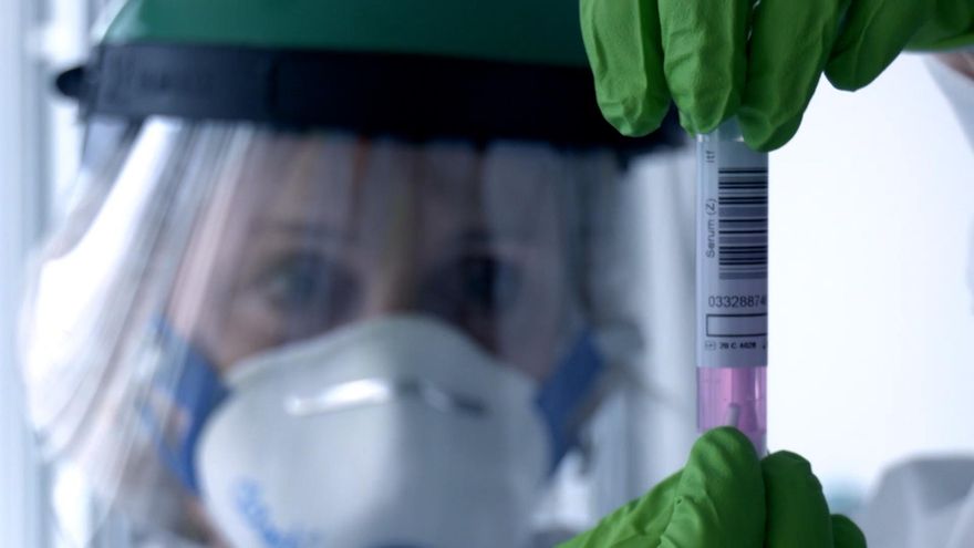 La célula dendrítica, o el "general" que dirige al sistema inmune frente al coronavirus