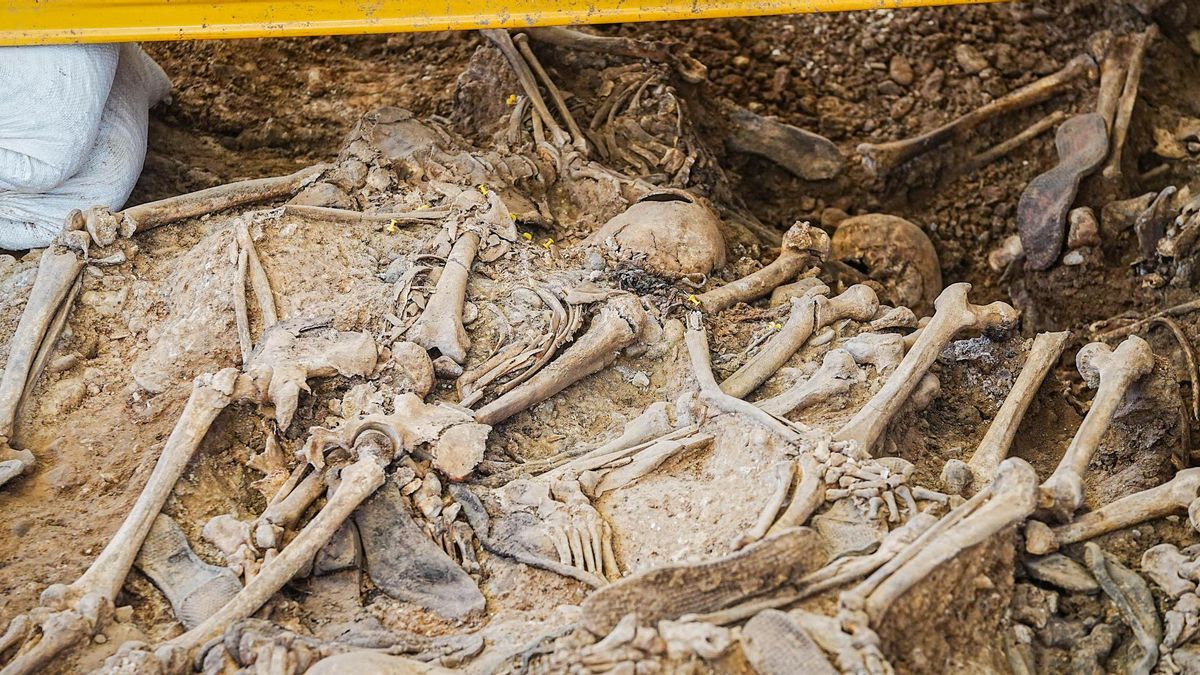 Exhumaciones de las fosas del cementerio de La Salud de Córdoba.