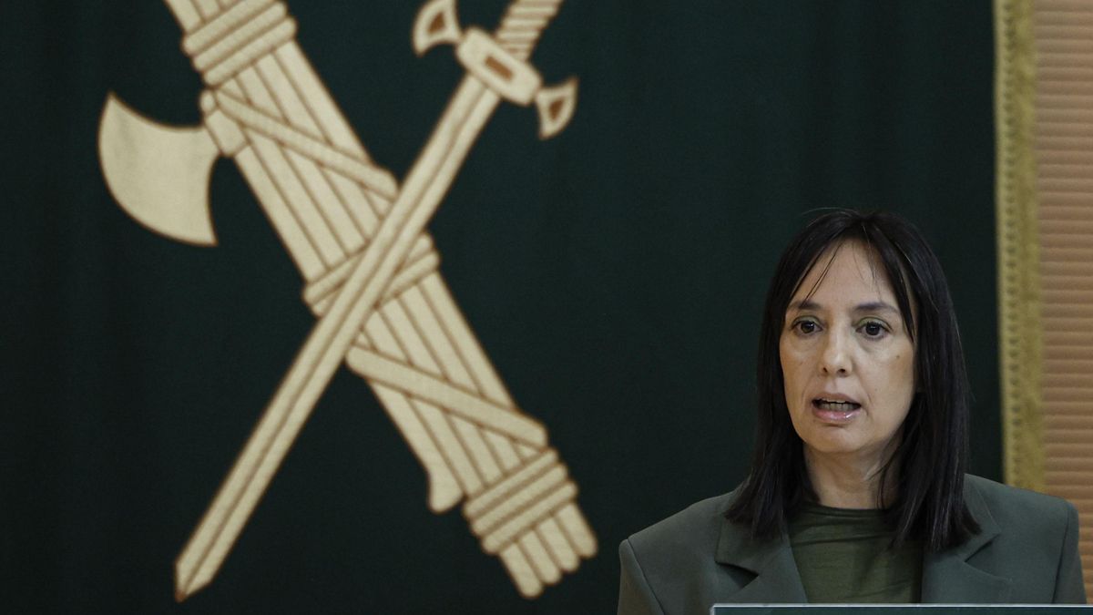 La directora de la Guardia Civil explicará el 16 de junio sus reuniones con Leire en el Senado