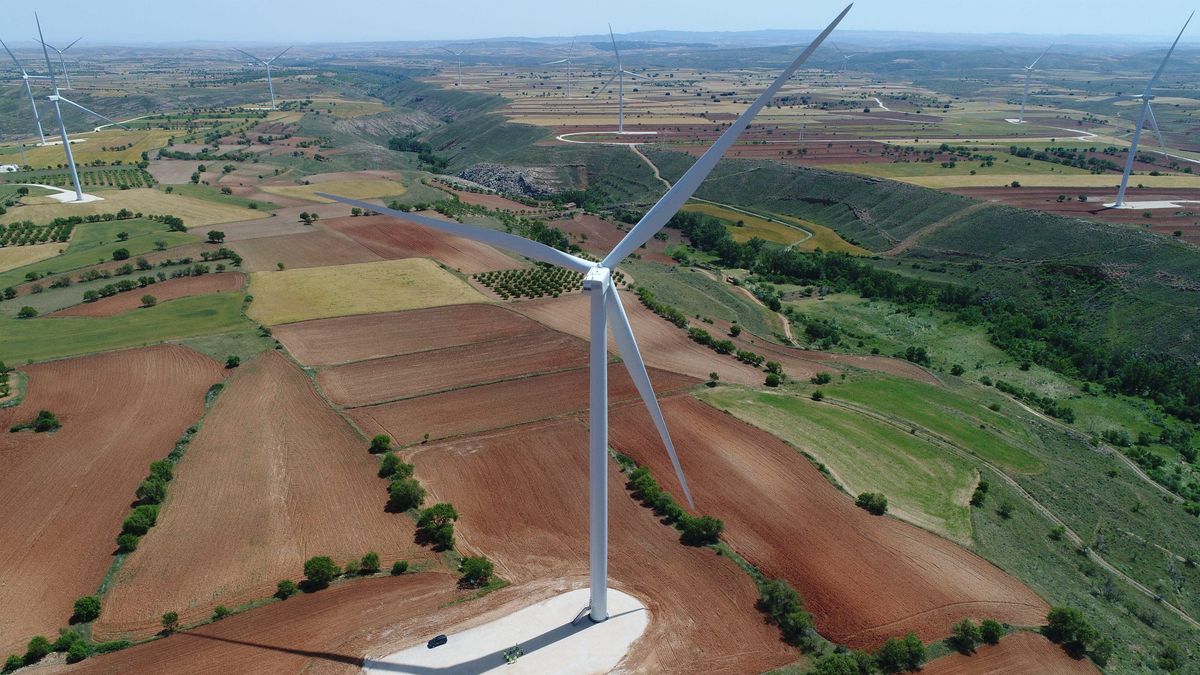 La Justicia avala el bloqueo municipal de más de 200 molinos de Forestalia en Ejea de los Caballeros
