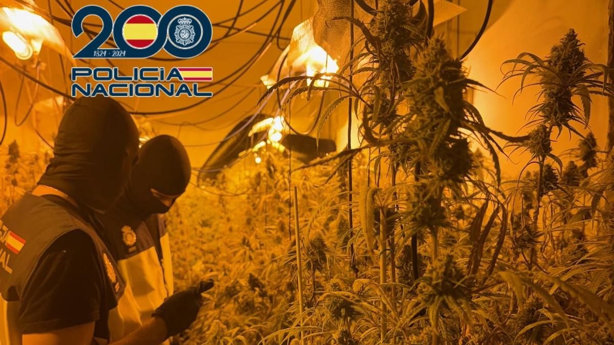 Localizan una enorme plantación de marihuana en una nave que corría riesgo de incendio