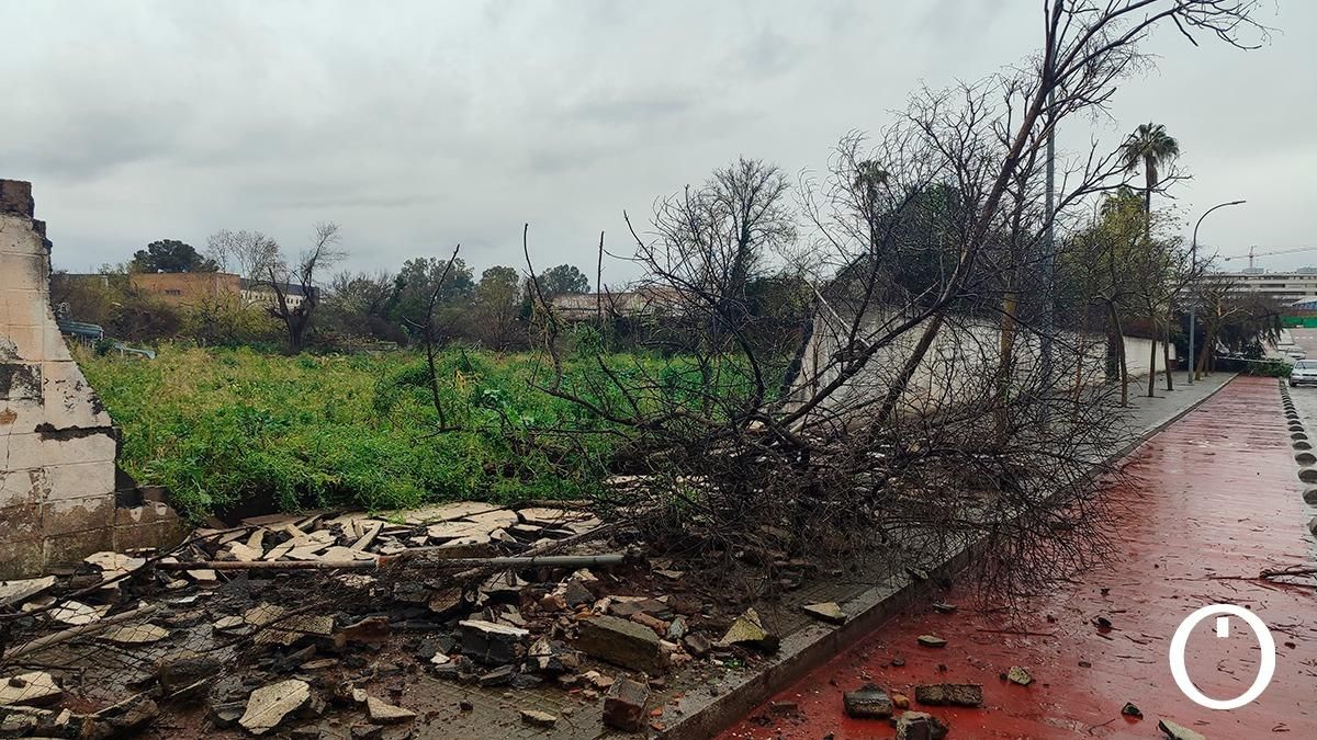 Los efectos del viento y la lluvia en Córdoba