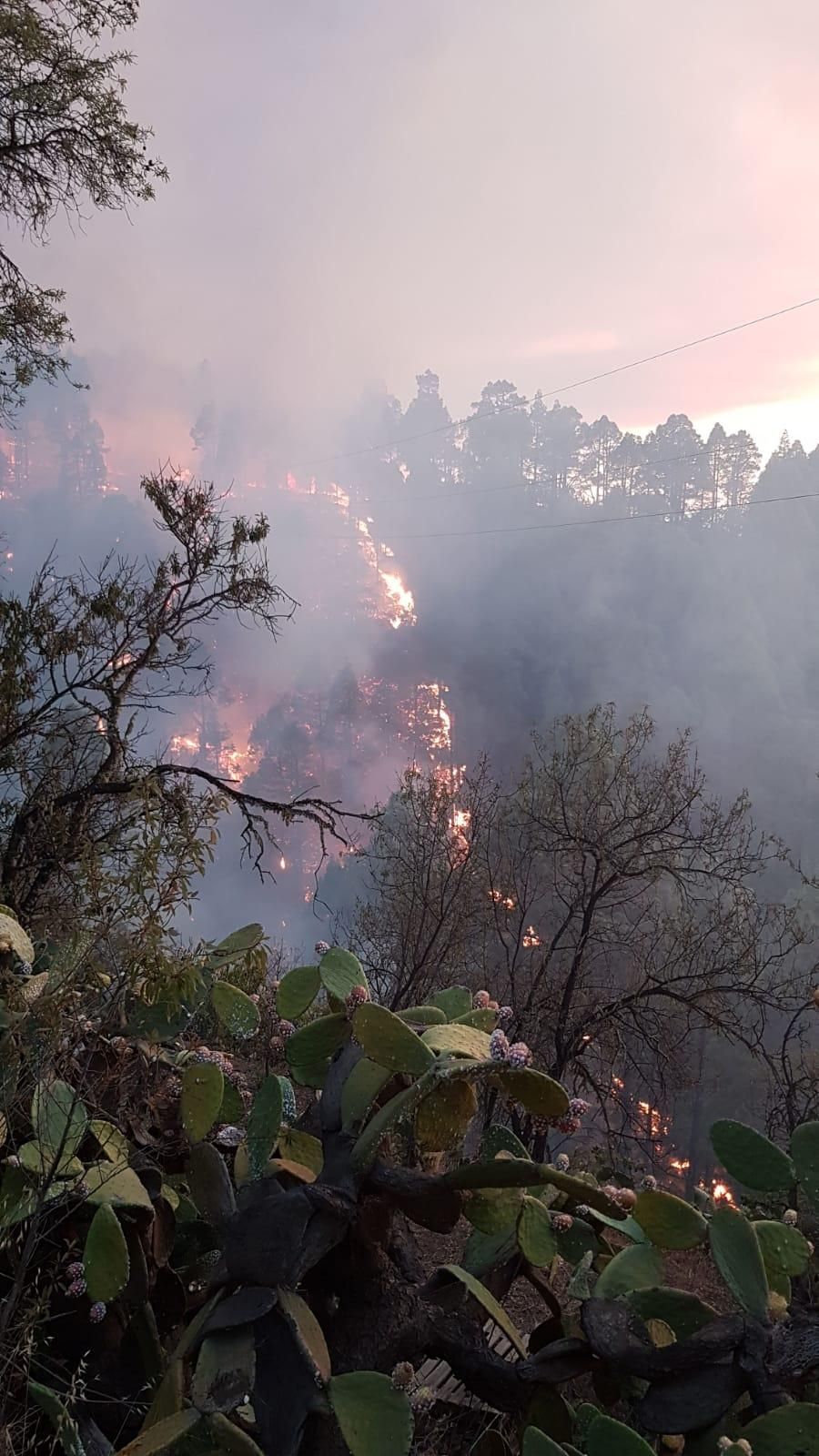 Imagen del incendio en Catela. JAVIER MARTÍN RODRÍGUEZ