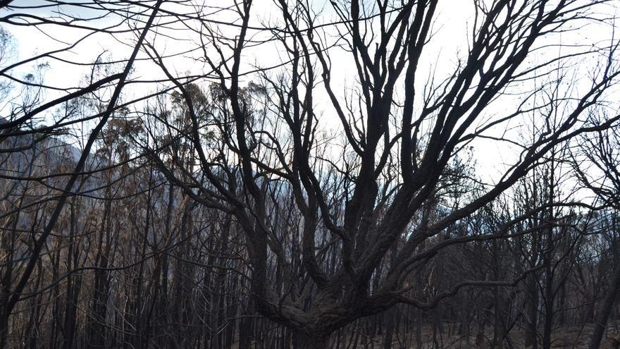 España, cada vez más acechada por la desertificación