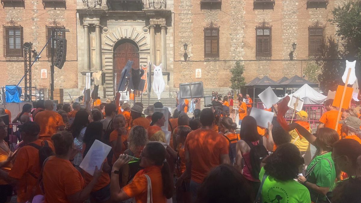 Concentración en Toledo en apoyo a las colonias felinas