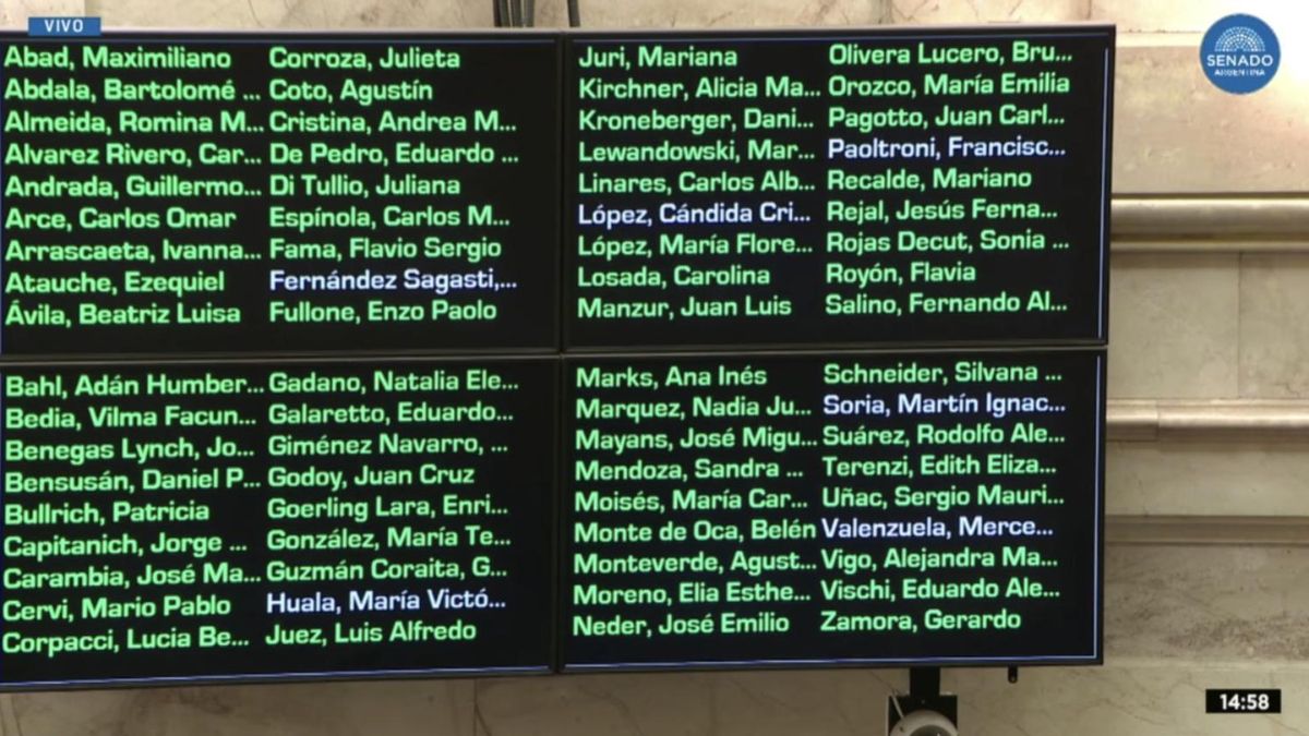 La votación en el Senado del pliego de Yadarola, por unanimidad.