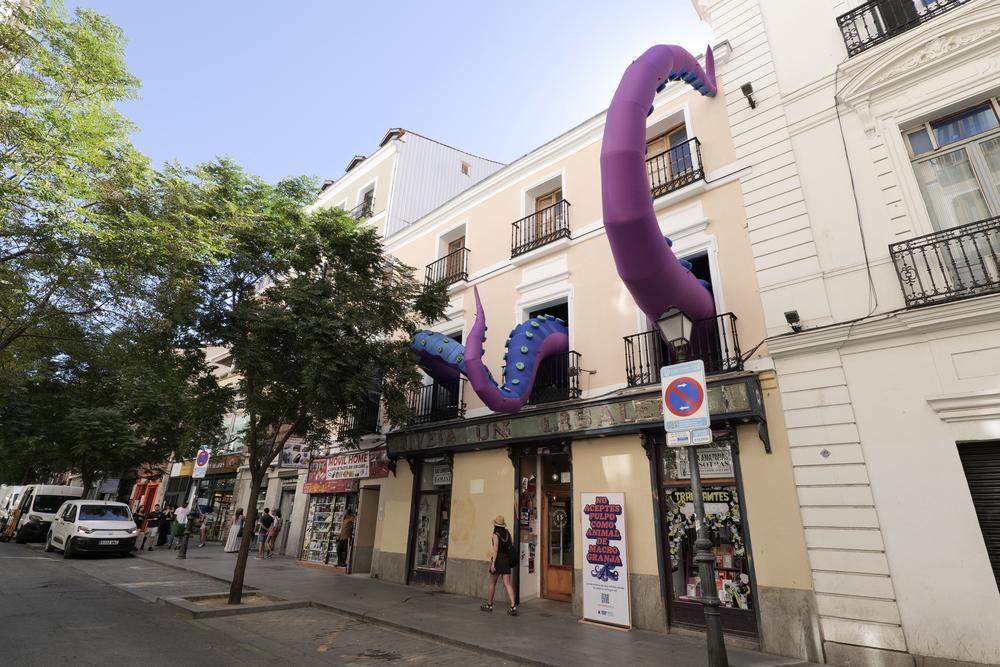 Presentación de la campaña desde la calle