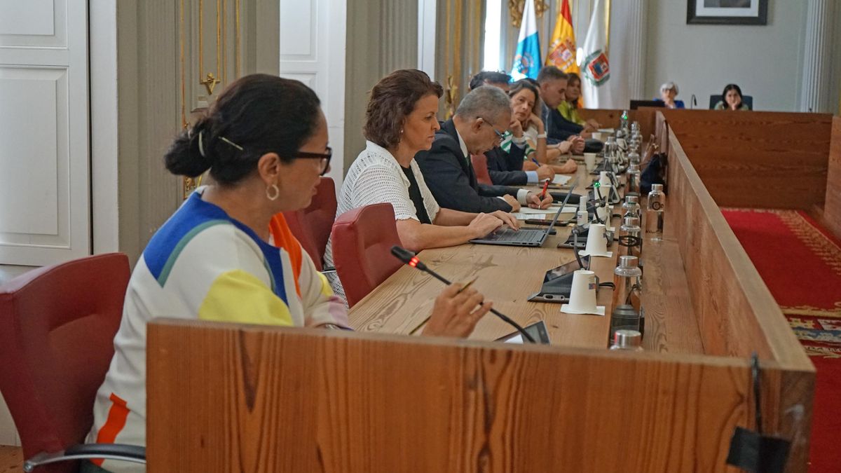 La concejala Clotilde Sánchez, ahora en el grupo de los no adscritos, antes en Vox.