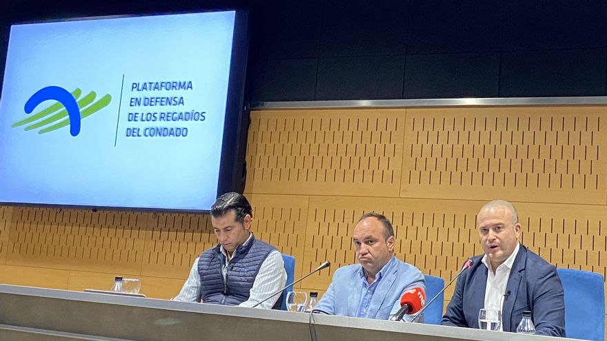 Representantes de la Plataforma del Condado, con su portavoz, Julio Díaz, a la derecha de la imagen.