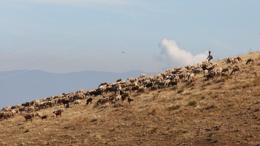 César Sánchez/Ical. Monte en Paradela de Muces.