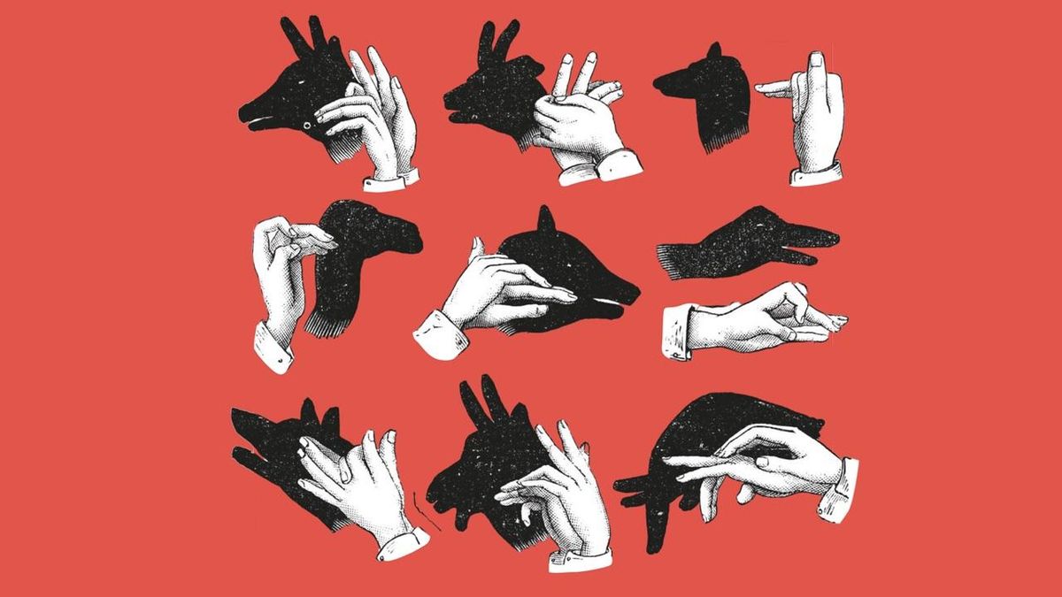 Cuidar dos pájaros de una tirita
