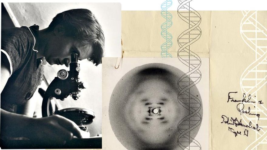 Nuevos datos sobre el papel de Rosalind Franklin: de víctima a codescubridora de la ‘doble hélice’ del ADN