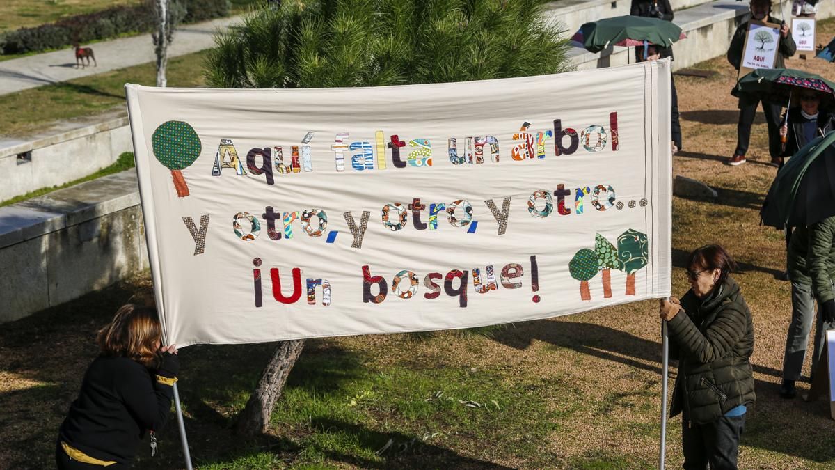 AAVV Axerquía y Regina-Magdalena realizan la actividad 'Aquí falta un árbol' en el Parque de Miraflores