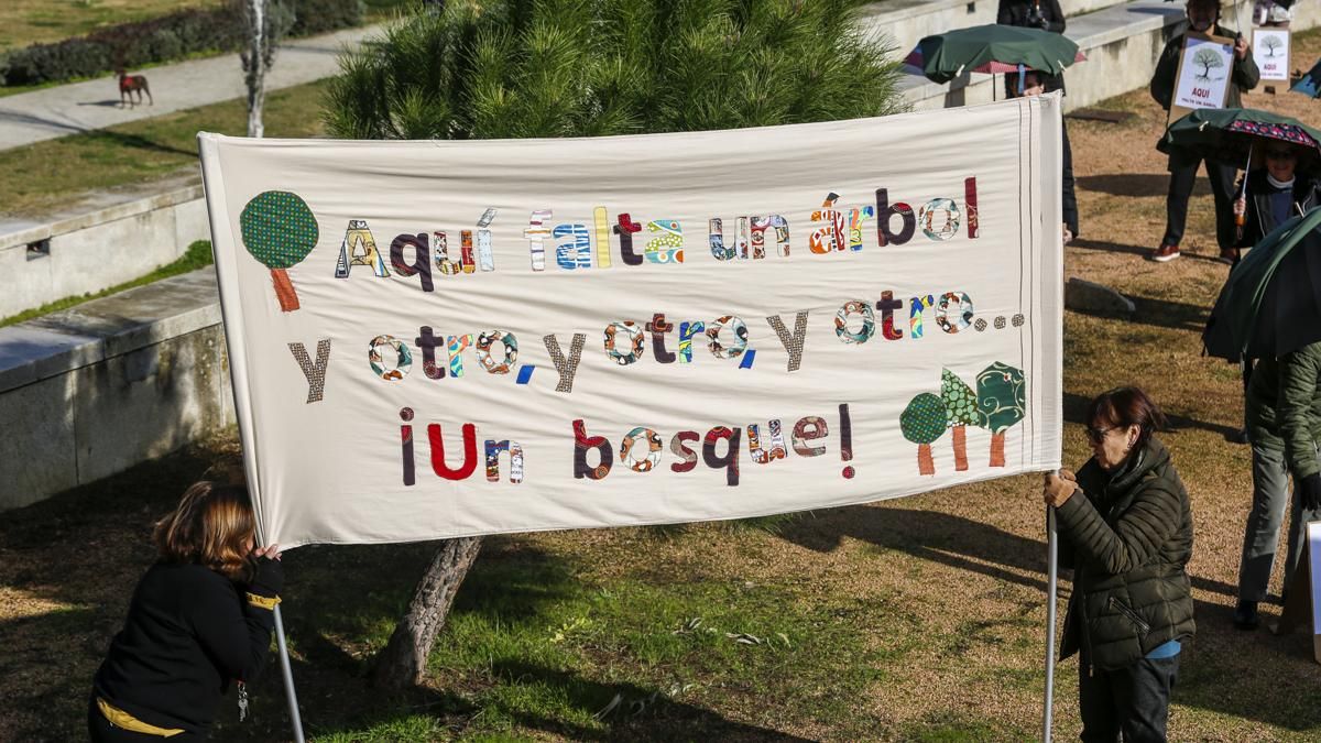 AAVV Axerquía y Regina-Magdalena realizan la actividad 'Aquí falta un árbol' en el Parque de Miraflores
