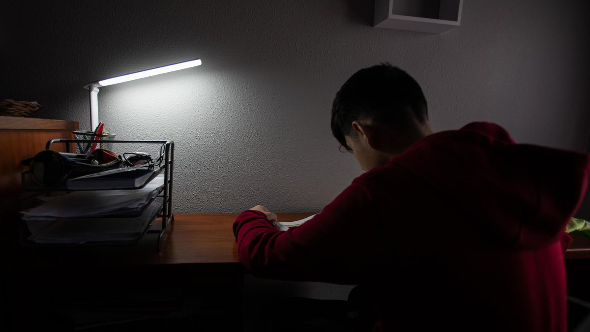 Luces y sombras de la enseñanza vasca tras el varapalo de PISA: mucha inversión, privatización y nivel de lectura bajísimo