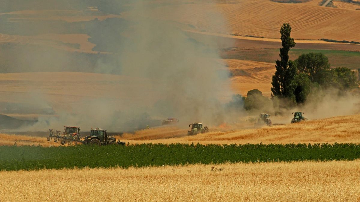 Medida excepcional en el campo riojano: se permite voltear el suelo a partir de este viernes para frenar los incendios