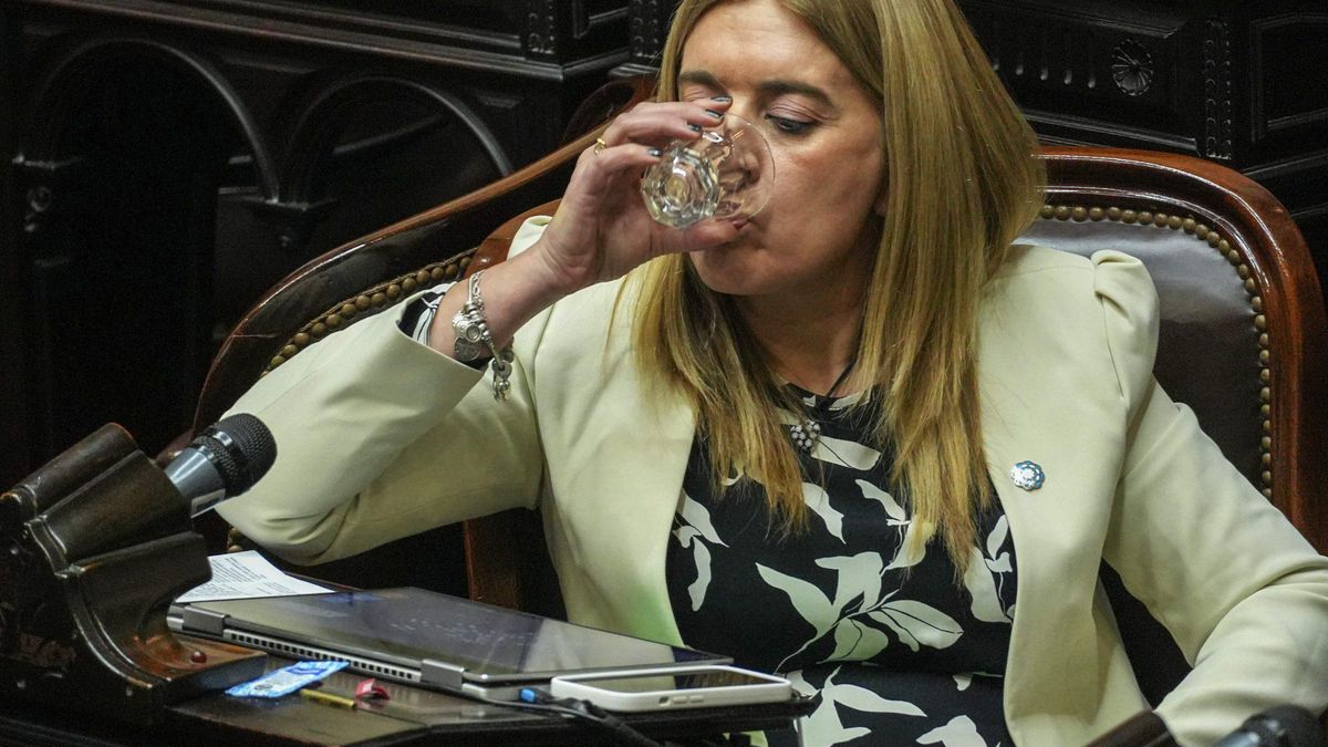La radical Danya Tavela