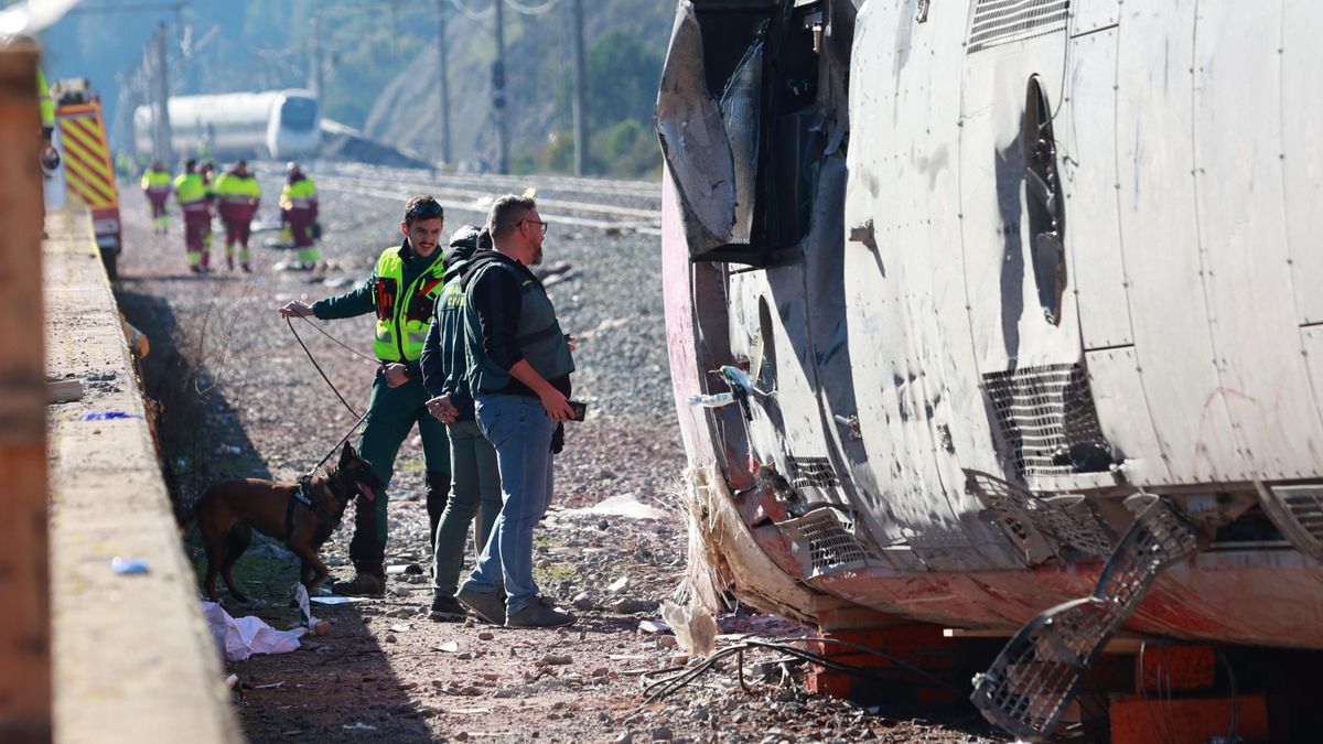 Los servicios de emergencia, junto a uno de los trenes accidentados en Adamuz.