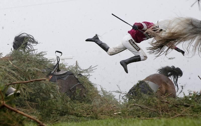 Grand National Steeplechase / Tom Jenkins, UK, The Guardian