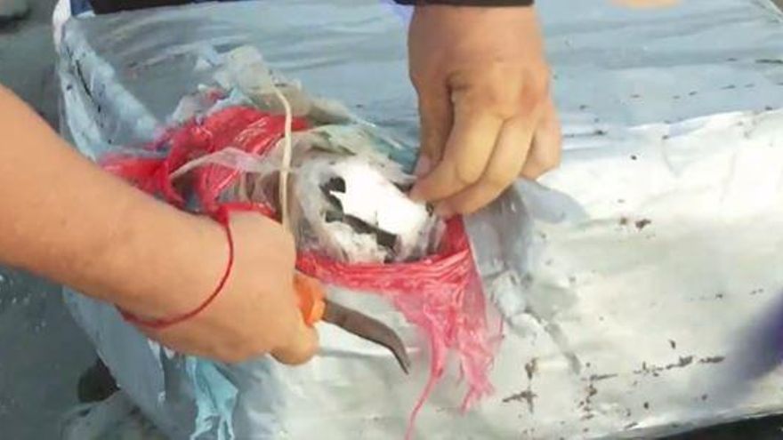 Un equipo de Televisión Canaria descubre un fardo de droga en la costa de Telde tras finalizar una conexión en directo