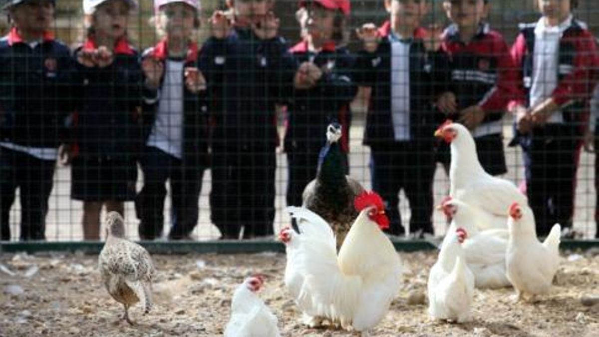 El Coto Escolar de León programa un Campamento de Navidad durante las vacaciones escolares