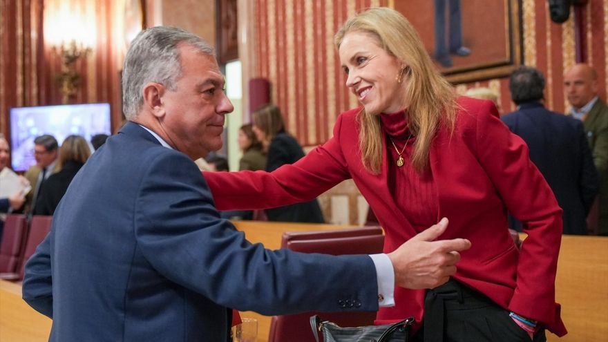 El PP volverá a aprobar con Vox el presupuesto de Sevilla tras sacrificar otra vez partidas de igualdad y cooperación