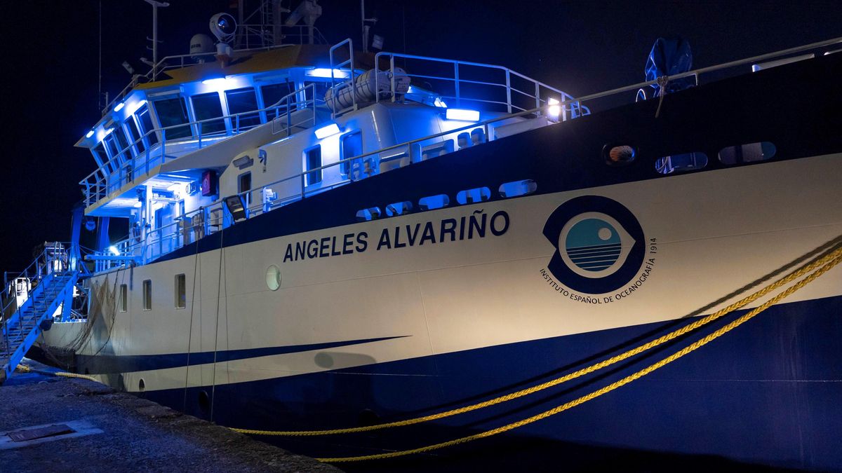 El buque oceanográfico Ángeles Alvariño.