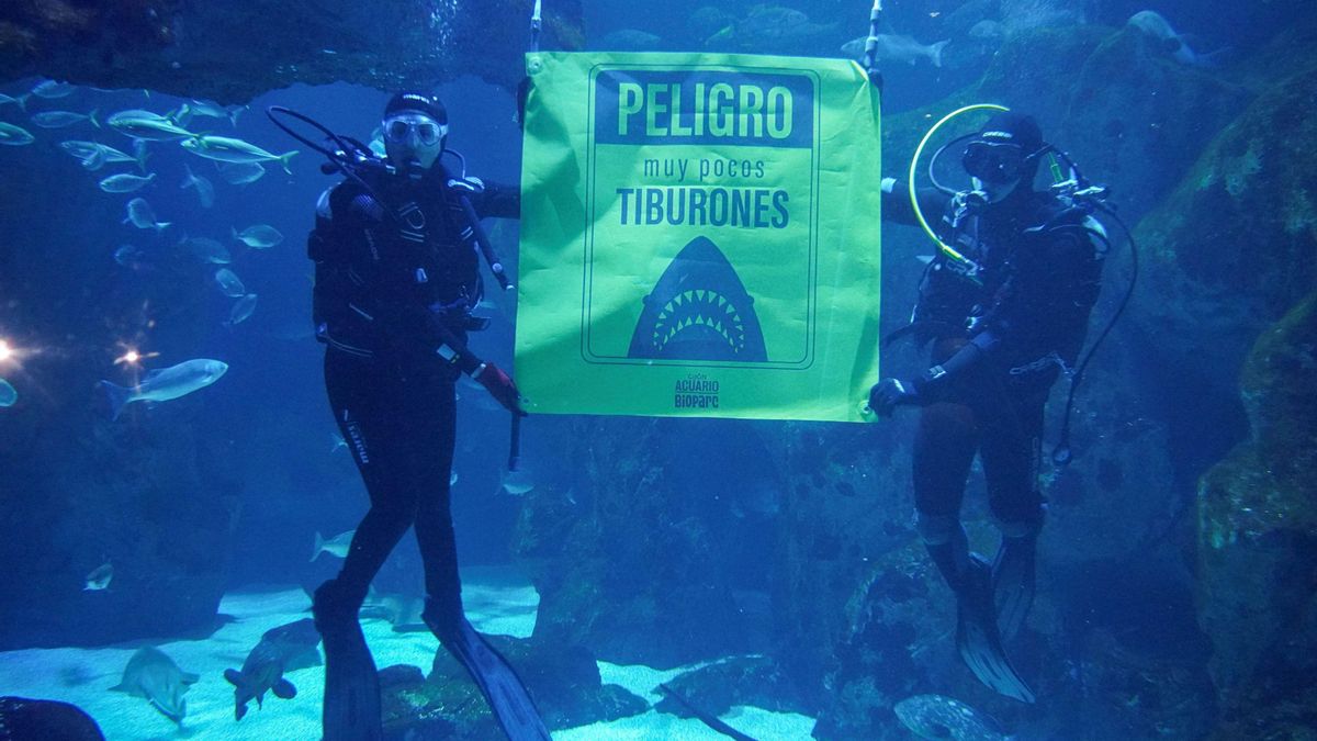 Actividades de sensibilización en BIOPARC Acuario de Gijón/Xixón.