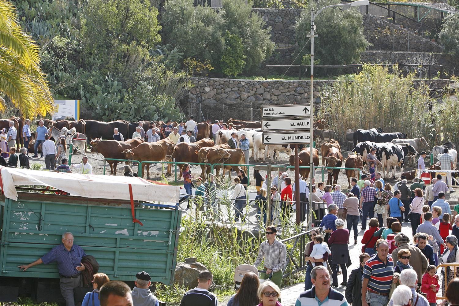 Fiestas de Santa Lucía | Alejandro Ramos