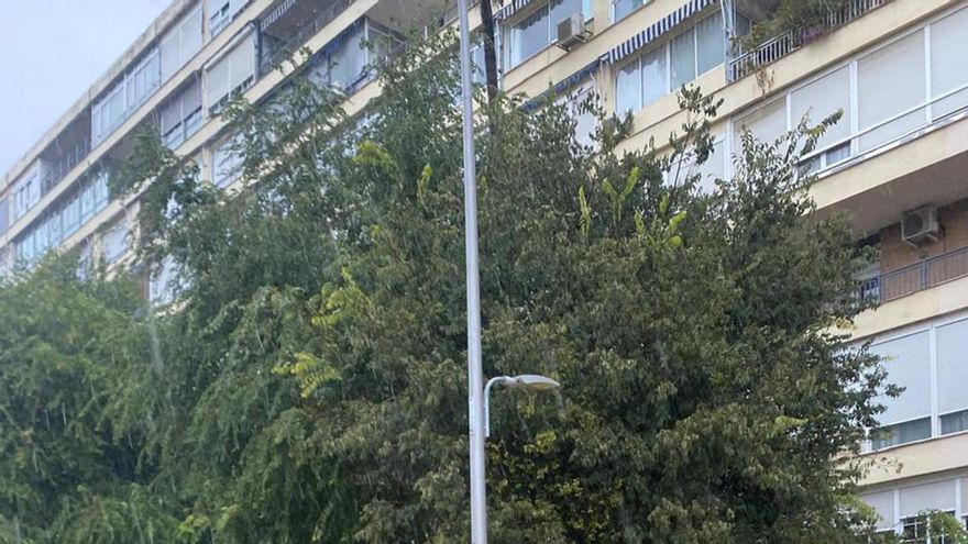 Las lluvias han originado un millar de incidencias y dos heridos en Andalucía