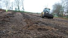 Imagen de los trabajos de plantado de especies autóctonas en Ames (A Coruña)