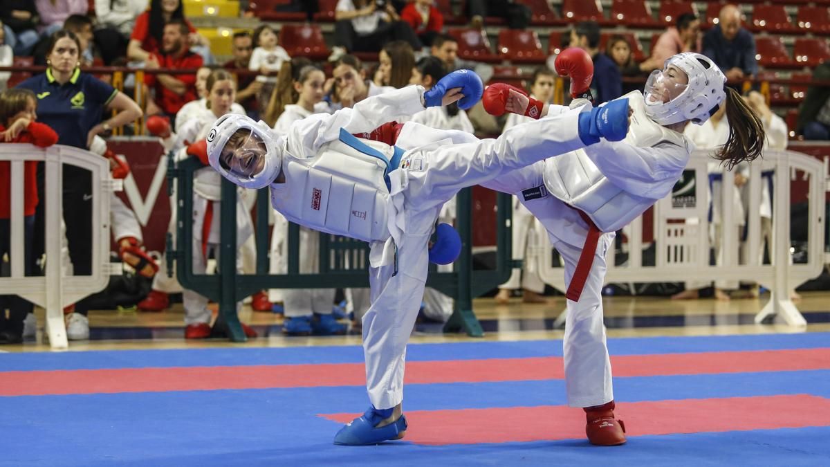 Campeonato de Andalucía infantil de kárate