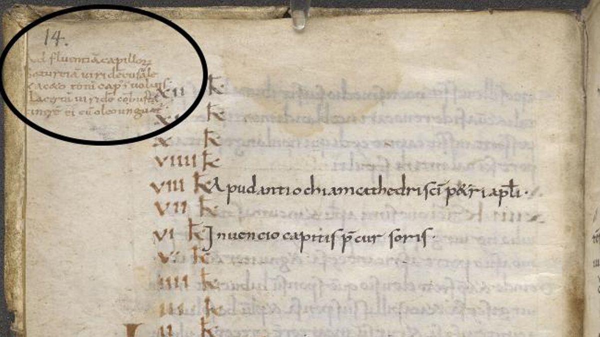 Este manuscrito presenta una curiosa receta en los márgenes: champú para lagartos. La nota dice: «Para un cabello suelto. Cubra toda la cabeza con ajedrea fresca, sal y vinagre. [Luego] frótela con cenizas de lagarto verde quemadas, mezcladas con aceite».