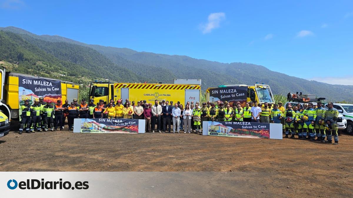 La Palma destina más de 460 efectivos, 50 medios terrestres y 5 helicópteros a la lucha con los incendios forestales